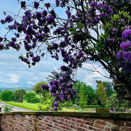 Llanerchydol Hall Suites Welshpool Buitenkant foto