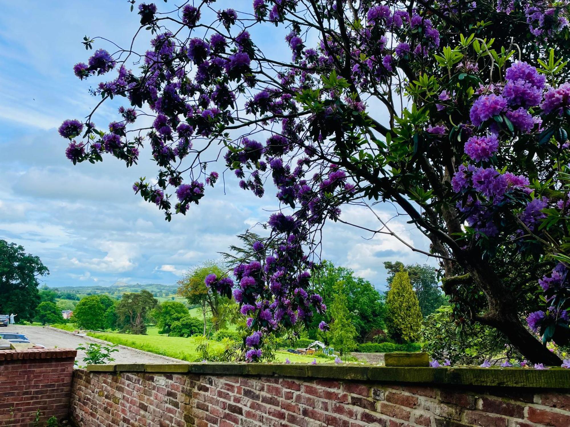Llanerchydol Hall Suites Welshpool Buitenkant foto
